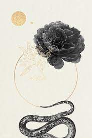 The group also appears in side stories in yakuza 2/yakuza kiwami 2 and yakuza 6. Download Premium Illustration Of Blank Floral Frame With A Snake Vector Snake Vector Snake Illustration Snake Design