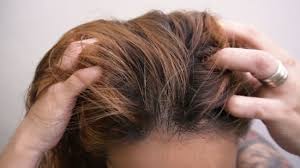 These nutrients provide various benefits for the scalp including hydration, protection from everyday damage, and reducing breakage. How To Use Argan Oil For Hair 9 Steps With Pictures Wikihow