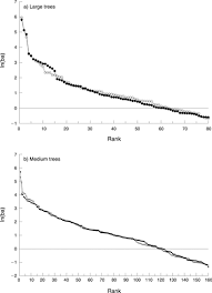 Image result for Strephonema sericeum