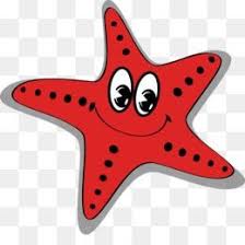 Gambar taman kota (page 1). Menakjubkan 30 Gambar Bintang Kartun Png Gambar Baru Diunggah Setiap Minggu Apakah Anda Mencari Gambar Bintang Png Sea Star Png Sea Kartun Bintang Gambar