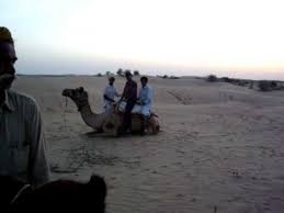 They really want you to explore the world, through their maps, that is. Camel Standing Up Youtube