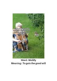 نتیجه جستجوی لغت [mollify] در گوگل