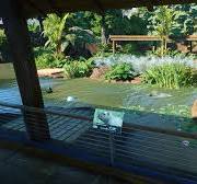 Welcome to TROPICA TERRA ZOO 🌴 — in this enclosure I build ...
