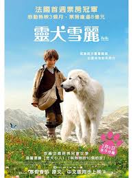 靈犬雪麗 軌魅娛樂 痞客邦 Polar Bear Animals Polar