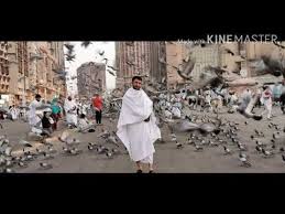 ارجو الرد…… marwa احلم اني اشتريت ملابس جديدة الى جدي لكن في. ØªØµÙÙØ± Ø£Ù ÙØ§Ø­ÙØ§ Ø´ÙÙØ¹ÙØ© ØªÙØ³ÙØ± Ø­ÙÙ ÙØ¨Ø³ ÙÙØ§Ø¨Ø³ Ø§ÙØ§Ø­Ø±Ø§Ù ÙØ§Ø¨Ù Ø³ÙØ±ÙÙ Thatfunnyfatgirl Com