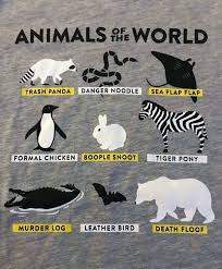 50 Creative T Shirts Used To Express Yourself Funny Animal Names Funny Animals With Captions Trash Panda