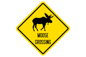 Download Moose Crossing Sign Svg Cut File By Creative Fabrica Crafts Creative Fabrica Yellowimages Mockups