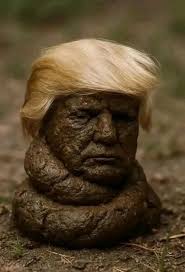 The president has faced near-universal backlash for his statement made  after the murder of Rob Reiner and his wife Michelle.