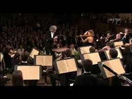 Pin On Violin