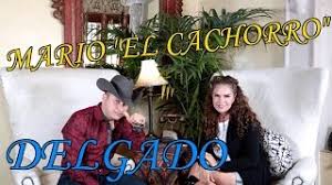 Estas elecciones, provoquemos una revolución pacífica en las urnas: Mario El Cachorro Delgado Cuenta Historias De Narcocorridos La Rica Y Sus Famosos Youtube