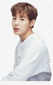 Aurora_rosanne seriously it should be illegal for so many hot guys to exist in just one country. Wanna One Ha Sungwoon Posing Sung Woon Hd Png Download 1440x2160 4627953 Pngfind