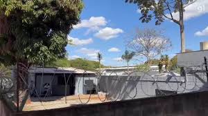 Imagens mostram canil do Senado, em Brasília