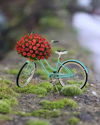 Riyet Gurcan On Instagram Hello Friends Photo By Ulihn Flowers Bike Beautifu Arte Del Girasol Fotografia En Miniatura Imagenes Bellas
