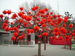 Photograph Chinese New Year Tree Art Installation Beijin Chinese New Year Decorations Chinese New Year Flower New Years Tree
