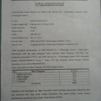 Fankiisd yayasan mitsuba di cikokol semua sekolah di yayasan darul mukmin kedepankan pembelajaran al quran metode wafa ada potongan kedua bersaudara itu menghabiskan waktu bersama / happy 61st anniversary yayasan lia, from us lia cikokol. Pt Mitsuba Indonesia Tangerang Banten