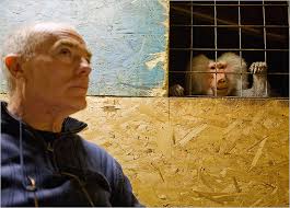 The New York Times > Home & Garden > Image >