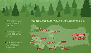 Orman yangınlarında 11 bin 456 hektar orman yandı. Turkiye De Son 10 Yilda 24 Bin 264 Orman Yangini Cikti Dunya Gazetesi