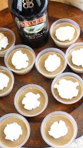 Baileys Irish Cream Jello Shots