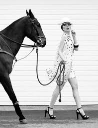 Pin On Horses