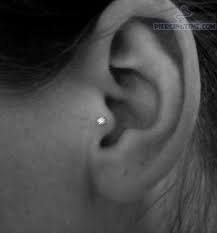 Ear Piercing Tragus Stud Pictures Tragus Piercing With Tiny Studs For Ear Tragus Piercing Ear Piercings Tragus Piercings Types Of Ear Piercings