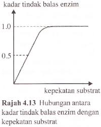Pada sel dalam sebuah tumbuhan terdapat dinding sel yang memiliki fungsi ialah sebagai berikut ini Lipid