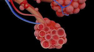 Covid 19 Treatment St Elizabeth Hosts Drug S First U S Trial