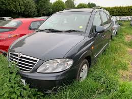 Image result for Dandy Gray 1993 SsangYong