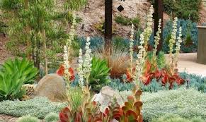 If there's one fast growing trend in plant arrangements, it's the world of succulent gardens. Tips For Planting A Succulent Garden
