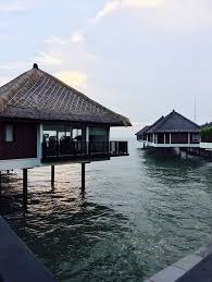 Avani sepang goldcoast resort takes the form of a palm tree, extending out from the water's edge at popular goldcoast beach. Avani Sepang Goldcoast Resort Sungai Pelek Resort Reviews Photos Rate Comparison Tripadvisor