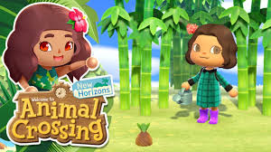 Discover the magic of the internet at imgur, a community powered entertainment destination. Creating A Bamboo Forest Animal Crossing New Horizons 7 Youtube
