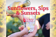 Sunflowers, Sips & Sunsets at Lyman Orchards