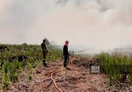 Open, open arc, open port, door open, open tank, burst open, melaluinya. Pin Di Hhh