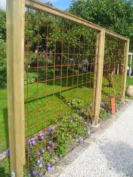 Trellis Of Rebar A Collection Of Photos Garden Fence Patio Garden Backyard Landscaping