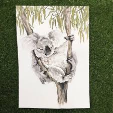 Nap Time When It S All Too Hard And You Need To Have A Rest One Tired Little Koala A3 Original Waterco Koala Drawing Quirky Illustration Watercolor And Ink