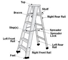 Ladders Step Osh Answers