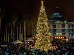 Maybe you would like to learn more about one of these? San Francisco Christmas 2020 Guide