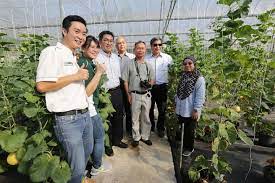 Green world genetics sdn bhd არის მიმწოდებელი პროდუქცია და მომსახურება, როგორიცაა ბოსტნეულის თესლი. Green World Genetics Sdn Bhd Home Facebook