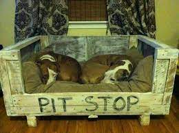 pit stop panier chien cabane pour chien chien