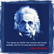 The difference between genius and stupidity is that genius has its limits. Albert Einstein Universe And Stupidity Quote The World Of English
