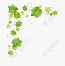 Red hand painted watercolor rose flower vine. Vine Leaves Background Hd Png Download Transparent Png Image Pngitem