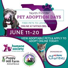 Gainesville pet rescue grant id: North Florida Pet Adoption Days Windfm 92 5 Gainesville 95 5 Ocala