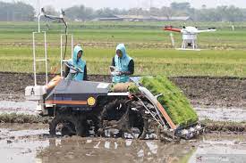 Pertanian di malaysia membentuk dua belas peratus daripada kdnk negara. Mekanisasi Pertanian Dari Food Estate Hingga Kedaulatan Pangan Antara News
