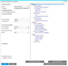 Create Your Financial Reports Templates In Sap Business One