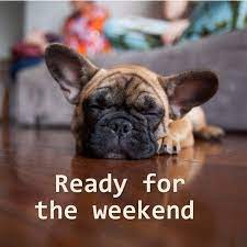Happy weekend quotes and picture/image messages, funny weekend. Have A Great Funny Good Morning Images Quotes Facebook
