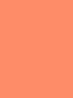 Salmon Ff8c69 Hex Color