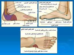 اركض برجلك هذا مغتسل بارد وشراب ومضات إعجازية