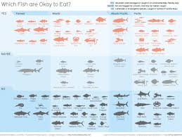 overfishing which fish to eat chart images 558x421 plenty