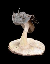 Novica, the impact marketplace, features unique camel sculptures at incredible prices handcrafted by talented artisans worldwide. Auktion Natural History Am 22 05 2019 Lotsearch