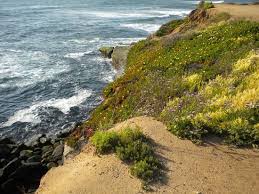 be safe be early review of sunset cliffs natural park