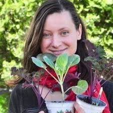 Self-Seeding Plants In The Garden Farm